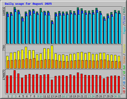 Daily usage for August 2025