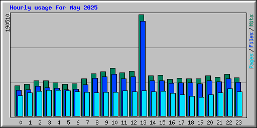 Hourly usage for May 2025