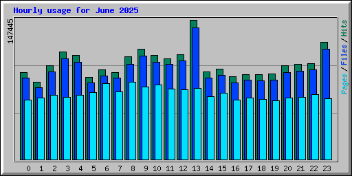 Hourly usage for June 2025