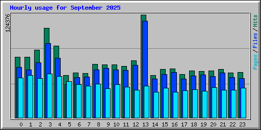 Hourly usage for September 2025