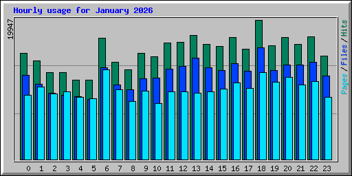Hourly usage for January 2026